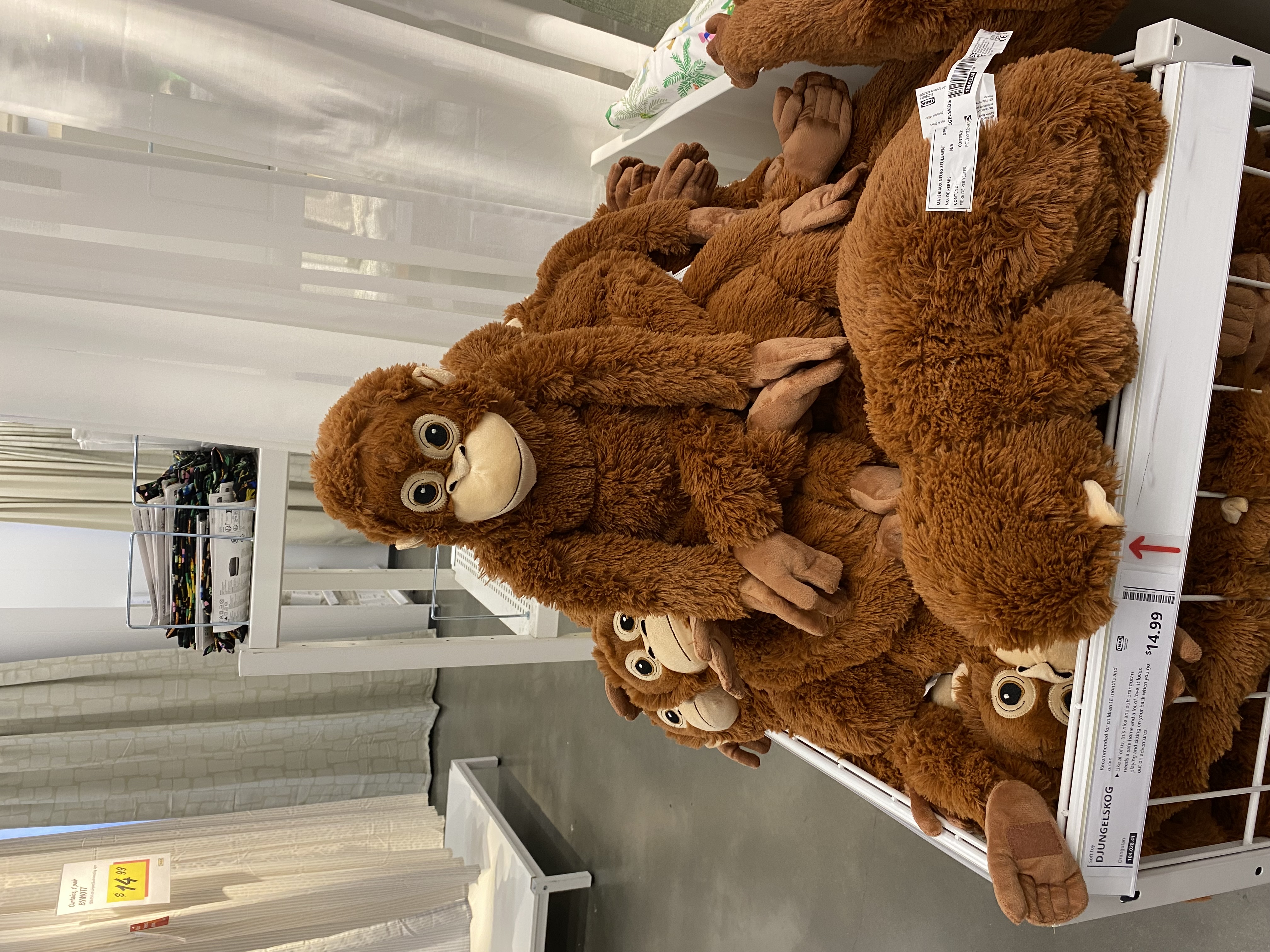 Monkey